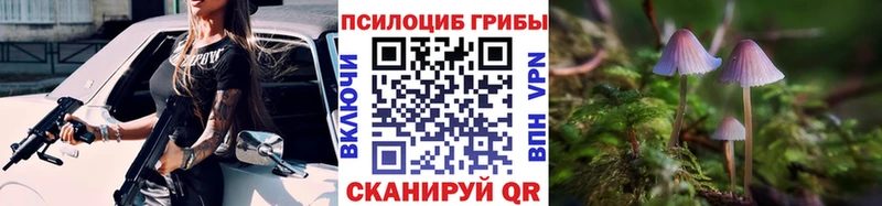 Галлюциногенные грибы Psilocybe Партизанск